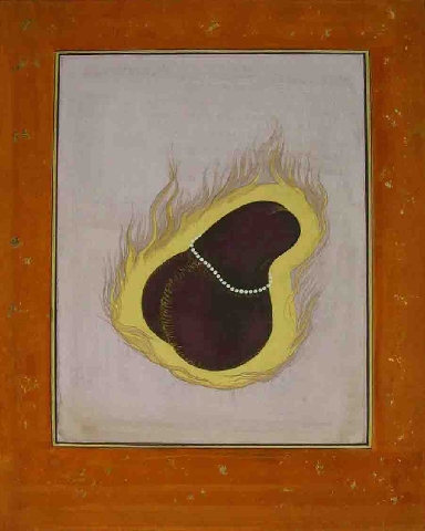 phallusplumyellowlavenderpumpkin