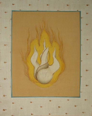 pussywhiteyelloeochrewhite1