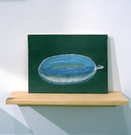 cantaloupe300cleanlevelscopy