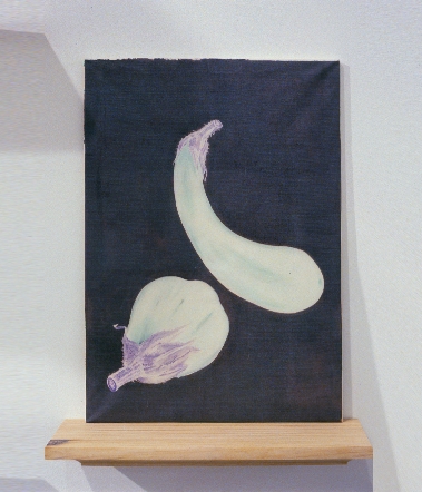 eggplants300cleancopylevelsclrbalscale1