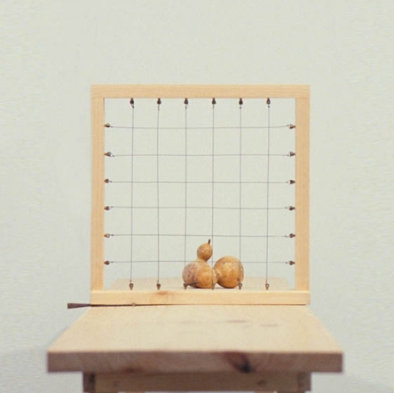 abstrgridwgourds2004x4levelssquare