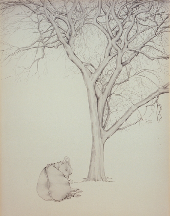 cameracompositecow300clrbalcleancopy