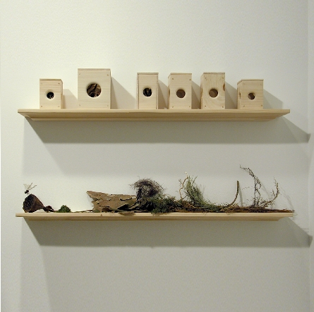 exploratoriumdetailshelvescleanlevelsrotate300clrbalcopy