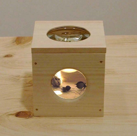 exploratoriumdetailbrightenedcopy