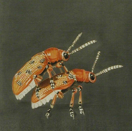 redhumpingbugssquare1a