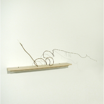 espervinewinsecteggs3004x4