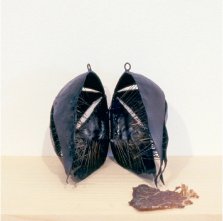 invertedpricklypear3002x2