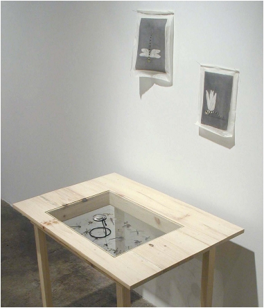 dragonflytableinstallvicopycleancopy