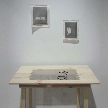 frontaldragonflytablecolorcorr15034x45