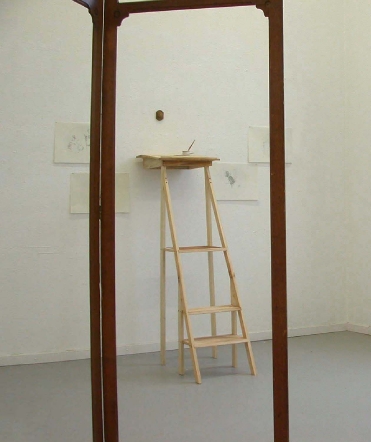 spyladderinstallviewcopycropclean300